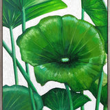 Evergreen Foliage XII (Canvas)
