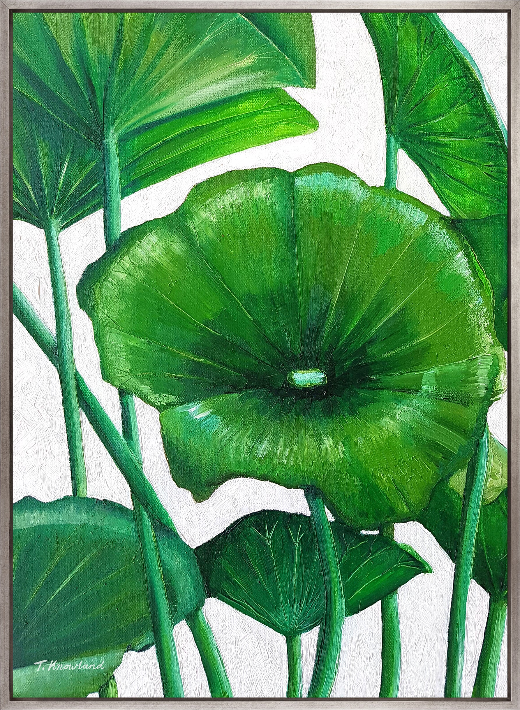 Evergreen Foliage XII (Canvas)