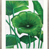 Evergreen Foliage XII