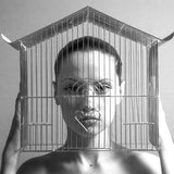 Feminine Mystique III (Canvas)