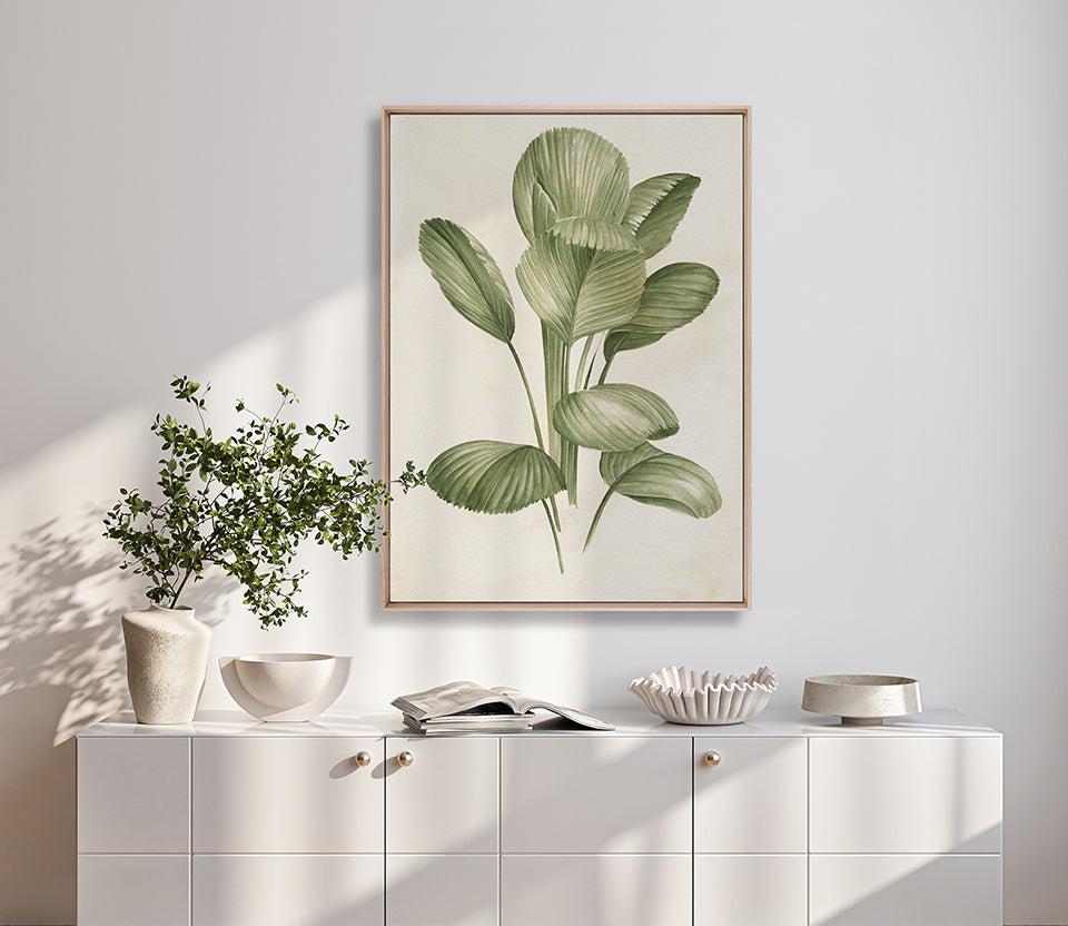 Soft Anaya Palm I (Canvas)