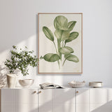 Soft Anaya Palm I (Canvas) Large (903mm W x 1109mm H)