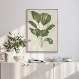 Soft Anaya Palm II (Canvas) Large (903mm W x 1109mm H)