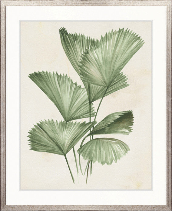 Soft Anaya Palm II