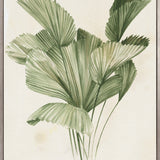 Soft Anaya Palm III (Canvas) Large (903mm W x 1109mm H)