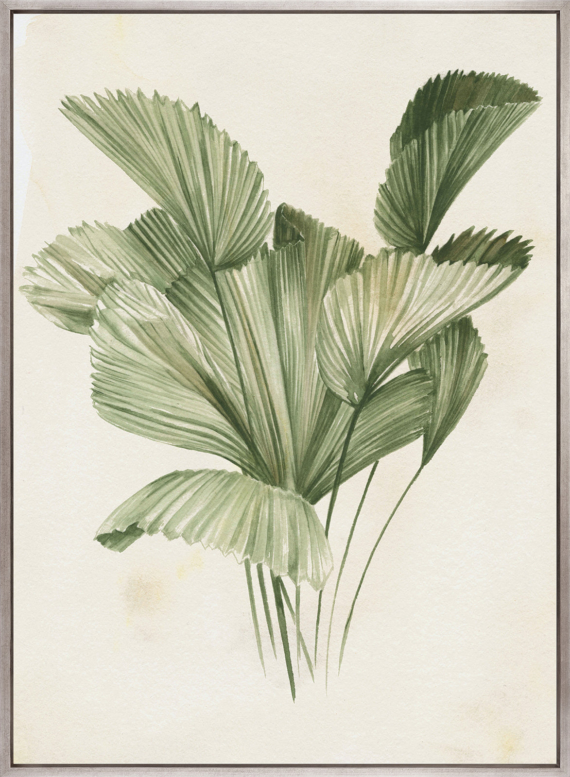 Soft Anaya Palm III (Canvas)