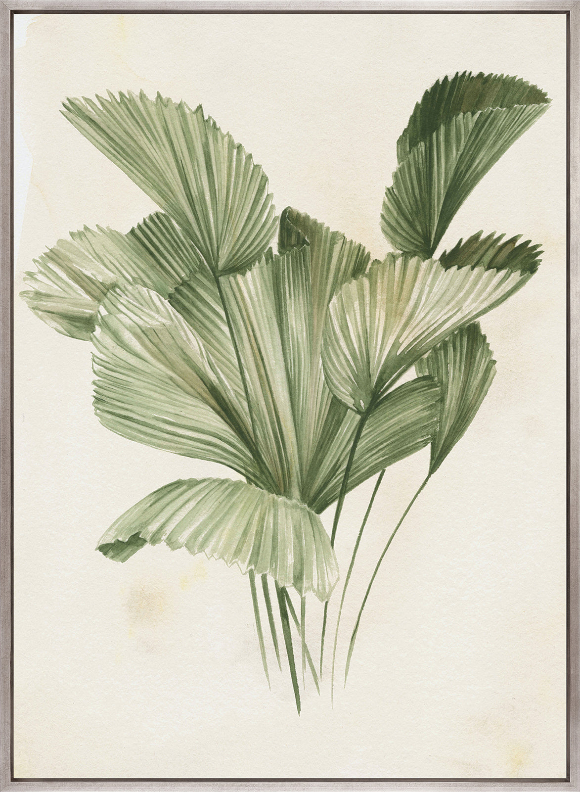 Soft Anaya Palm III (Canvas)