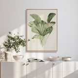 Soft Anaya Palm III (Canvas) Large (903mm W x 1109mm H)