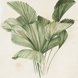 Soft Anaya Palm III (Canvas) Large (903mm W x 1109mm H)