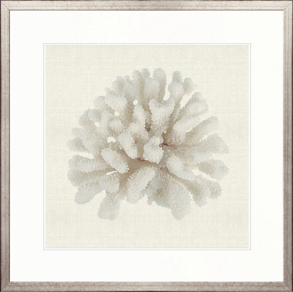 Fanciful Coral I