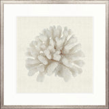 Fanciful Coral I