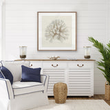 Fanciful Coral I