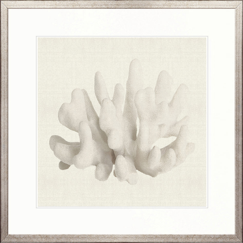 Fanciful Coral II
