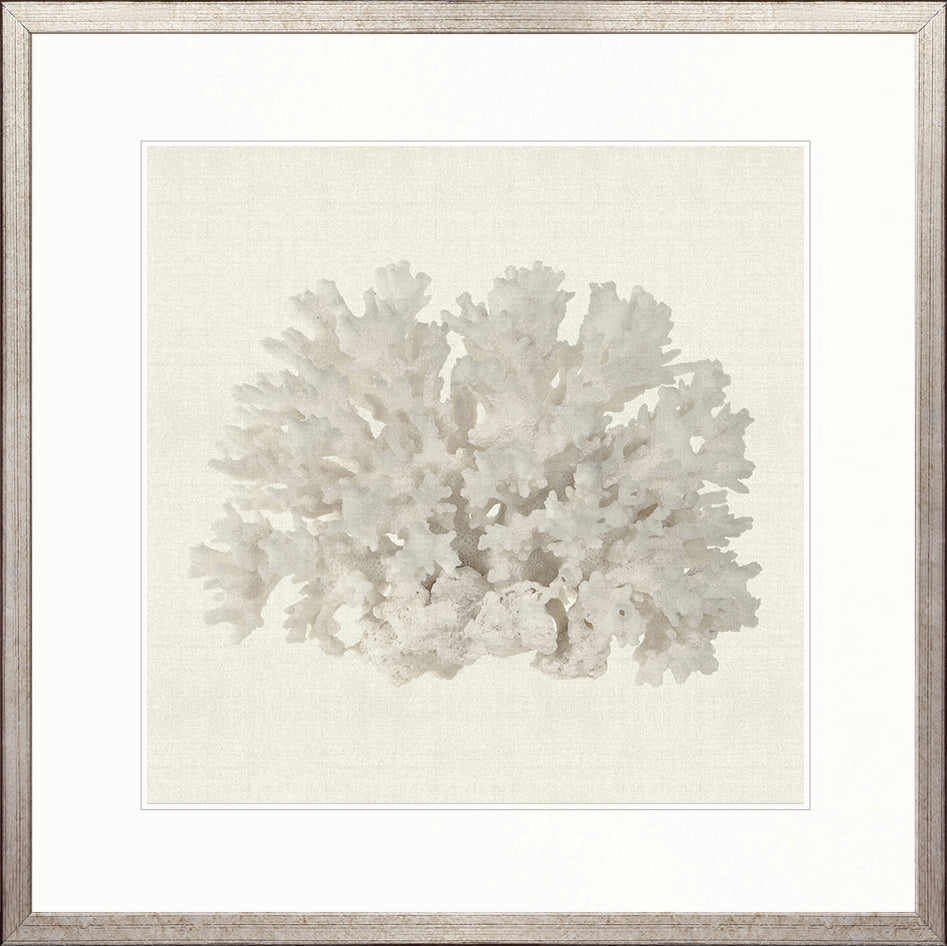 Fanciful Coral III