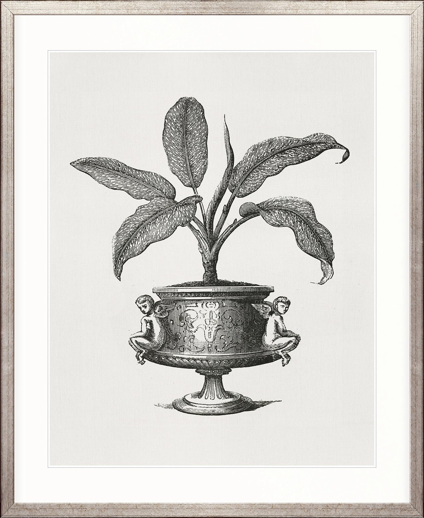 Arborea Collection I