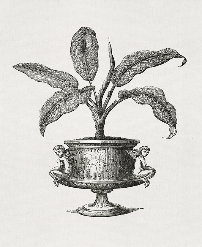 Arborea Collection I