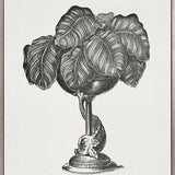 Arborea Collection II (Canvas) Large (903mm W x 1109mm H)