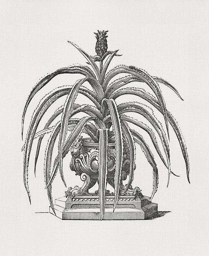 Arborea Collection III