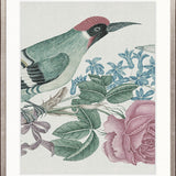 Ariala Bird II
