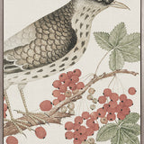 Ariala Bird III (Canvas)