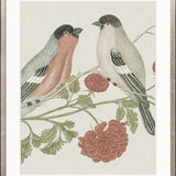 Ariala Bird IV