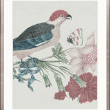 Ariala Bird V