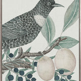 Ariala Bird VI (Canvas)