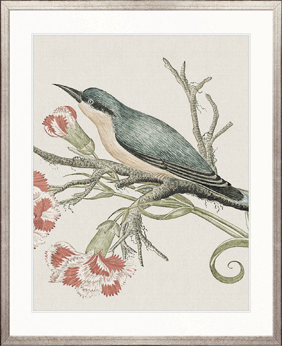 Ariala Bird VII