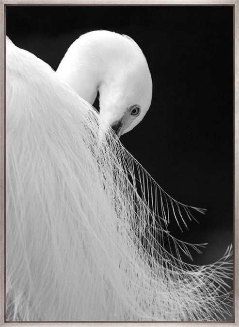 Heron (Canvas)