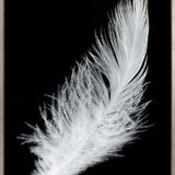 Feather In Flight (Canvas)