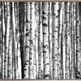 Forest Texture (Canvas)