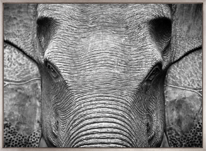 Elephant Wisdom (Canvas)