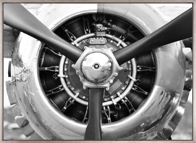 Take Off (Canvas)