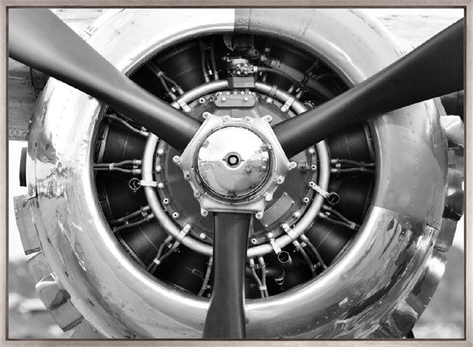 Take Off (Canvas)