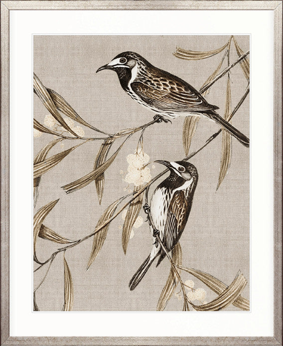 Meadow Birds II