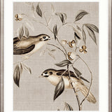 Meadow Birds III
