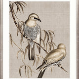Meadow Birds V