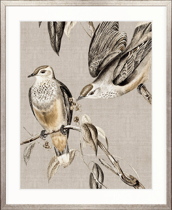 Meadow Birds VI
