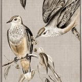 Meadow Birds VI (Canvas)