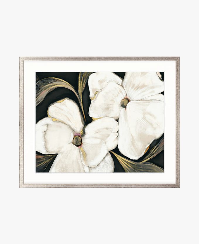 Ashcombe Botanical II