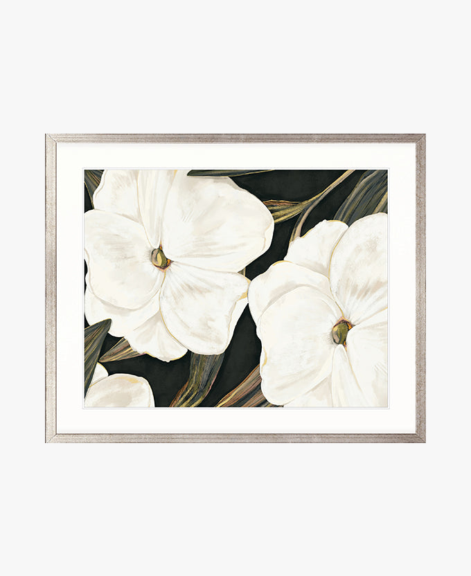 Ashcombe Botanical III