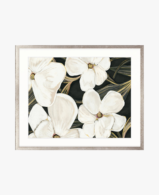 Ashcombe Botanical IV