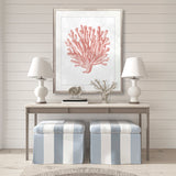 Ashford Soft Coral II