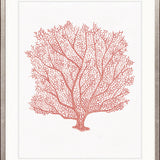 Ashford Soft Coral III