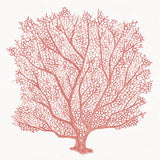 Ashford Soft Coral III