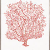 Ashford Soft Coral III (Canvas)