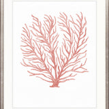 Ashford Soft Coral IV