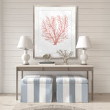 Ashford Soft Coral IV