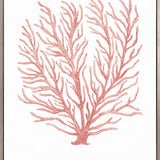 Ashford Soft Coral IV (Canvas)