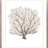 Ashford Soft Coral VII